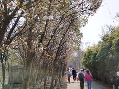 -苏州太湖国家湿地公园