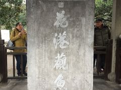 -西湖外事游船(花港观鱼码头)