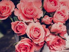 -中国移动(南马路营业厅)