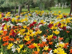 -长春公园(普阳街道)