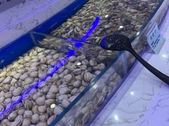 -澜悦港海鲜体验主题餐厅
