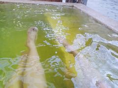 -春晖园度假酒店温泉