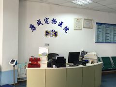 -康成宠物医院24H·CT·核磁共振
