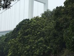 -威远炮台
