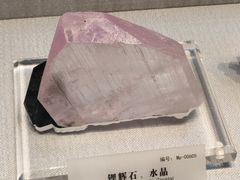 -湖南省地质博物馆