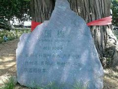 -石老人观光园