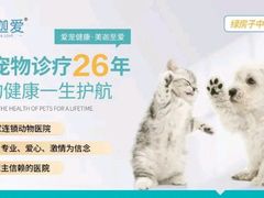 -美迦爱-动物医院·骨科·牙科·夜诊(朝阳路诊疗中心)