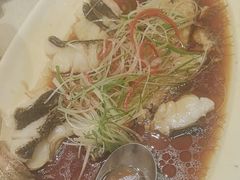-新吉士·上海菜(浦东LCM置汇旭辉店)