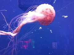 -成都浩海立方海洋公园