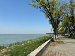 -阳澄湖费尔蒙酒店颐丰阁中餐厅(马鞍山西路店)