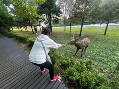 -大连森林动物园