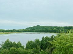 -御道口草原森林风景区