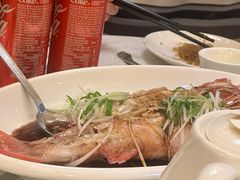 -玛宝鲜海鲜酒家