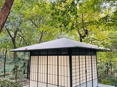 -中国茶叶博物馆(双峰馆区)