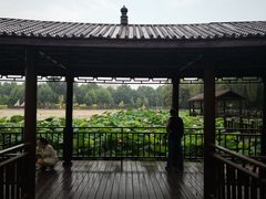 -裕华世纪公园