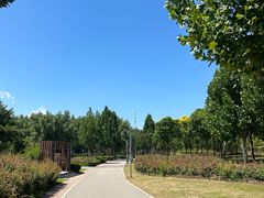 -东坝千亩湖公园