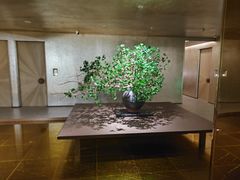 -隐溪茶馆(静安寺店)