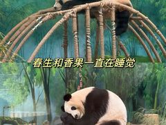 -杭州动物园