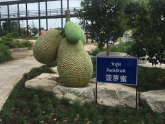 -东芭乐园