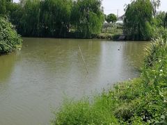 -马陆小张葡萄园农家乐