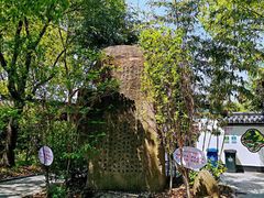 -南汇桃花村