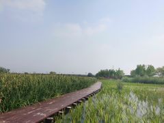 -永定河休闲森林公园