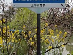 -南汇桃花村