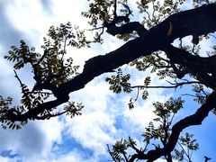 -龙口南山旅游景区