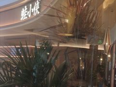-蛙小侠(珠海华发商都店)