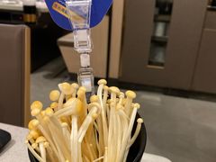 -海底捞火锅(群光广场店)