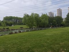 -九里河湿地公园