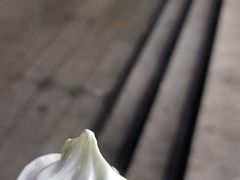 -麦当劳(宝山大厦店)