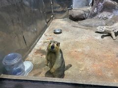 -苏州海洋馆
