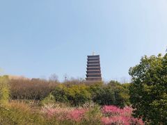 -牛首山文化旅游区