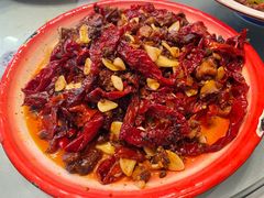 -柴窝堡22号辣子鸡·传承新疆菜