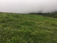 -硗碛藏寨·神木垒景区