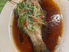 清蒸石斑鱼-盛港湾海鲜食府(黄沙店)