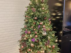 -广州文华东方酒店·悦铂尼西餐厅