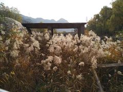 -碓臼峪自然风景区