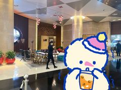 -南京禄口机场雅高铂尔曼大酒店