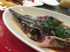 -碧丽宫大酒店(召稼楼店)
