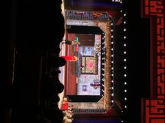 刘老根大舞台(正阳街分部)-大舞台剧场