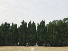 -南沙蒲洲花园