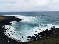 -涉地可支