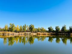 -永定河休闲森林公园