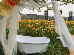 -名花谷生态庄园