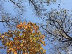 -道须沟旅游风景区