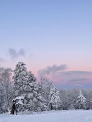 -大秃顶子山