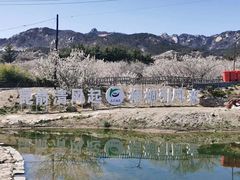 -无染寺