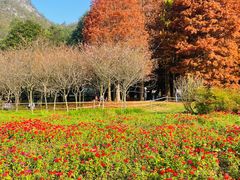 -贵阳市花溪国家城市湿地公园